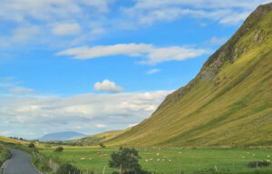 Grüner Hang mit Schafsweide unter blauem Himmel in Donegal, Irland. Macht Lust aufs Auswandern nach Irland, um dort zu leben.